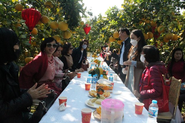 Đoàn đại biểu phu nhân các nhà ngoại giao, đại sứ thăm tỉnh Bắc Giang