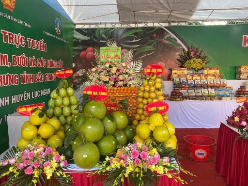 Bắc Giang: Ban hành Kế hoạch tổ chức xúc tiến tiêu thụ vải thiều và các nông sản chủ lực, đặc...
