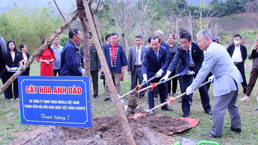 Bắc Giang tổ chức Chương trình trồng cây hoa anh đào và giao lưu văn hóa Việt - Nhật