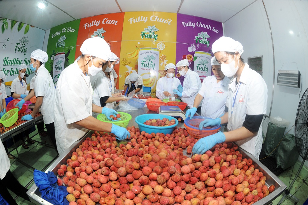 Nông nghiệp Bắc Giang: Phát triển thị trường xuất khẩu, nhập khẩu đảm bảo tăng trưởng bền vững