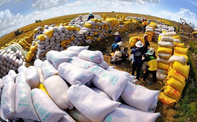 Chính phủ phê duyệt Chiến lược phát triển thị trường xuất khẩu gạo của Việt Nam đến năm 2023