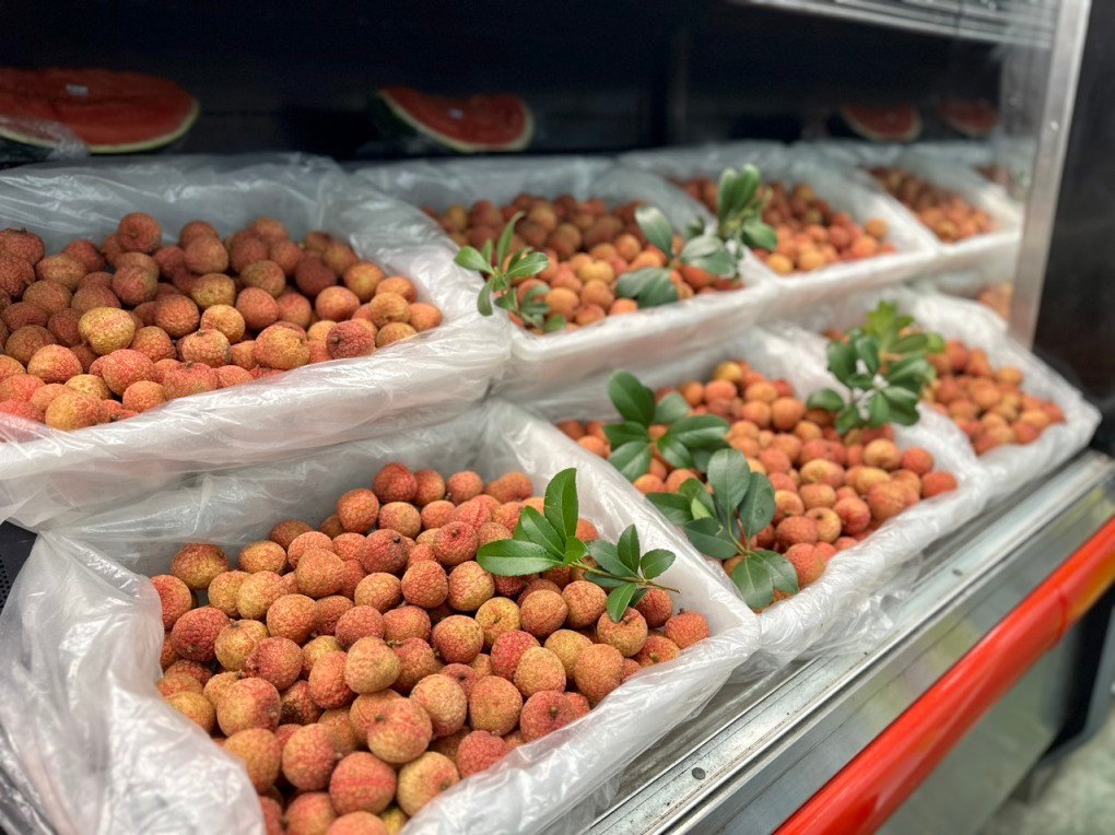 Luc Ngan granted 10 new lychee planting area codes for export to Australia and Japan