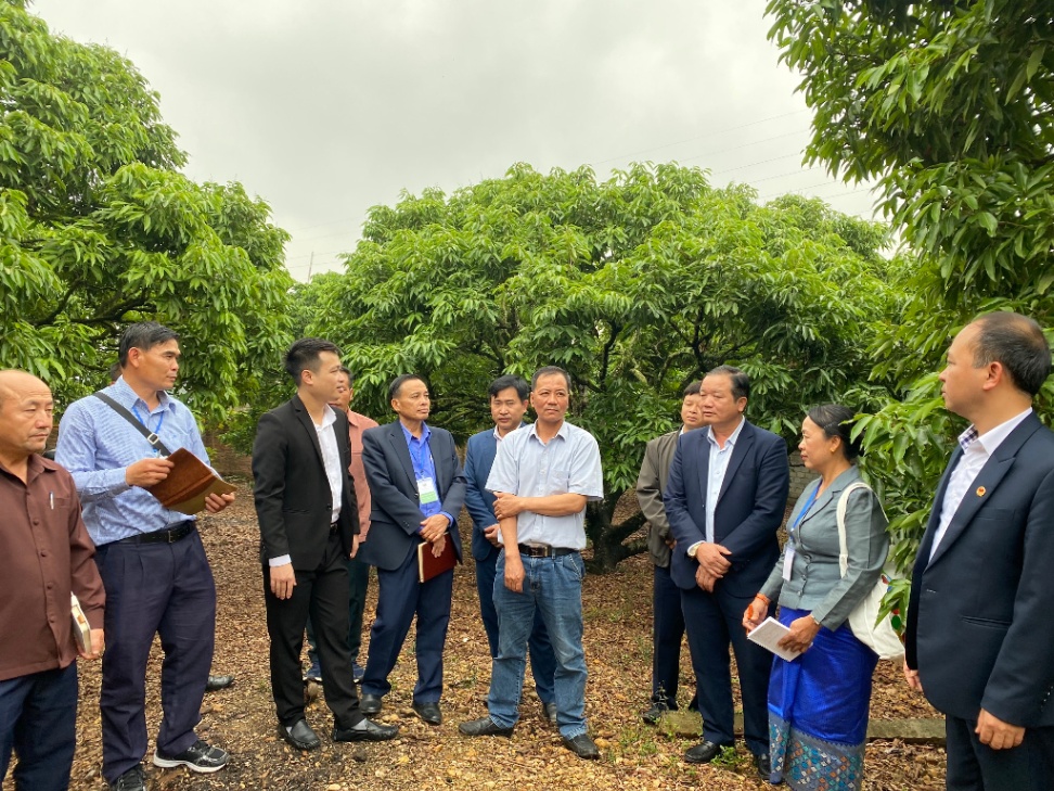 Trường Đại học Nông-Lâm Bắc Giang đào tạo kỹ thuật nông nghiệp cho cán bộ tỉnh Xay Sổm Bun (Lào)