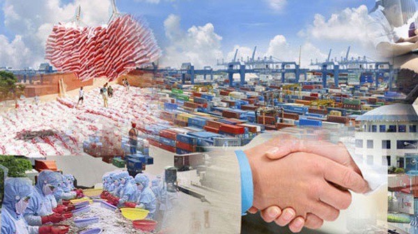 Thông tin về các doanh nghiệp nhập khẩu tại một số nước