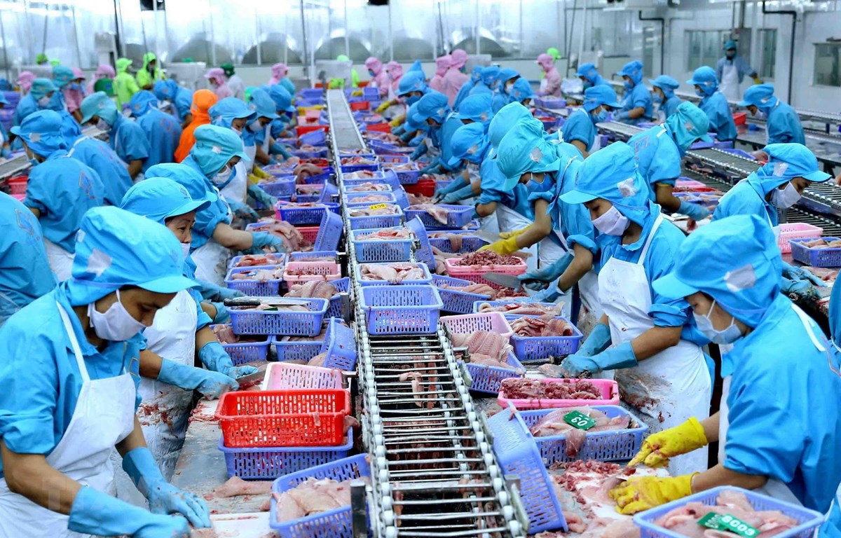 Đài Loan: Một số quy định liên quan đến xuất khẩu thủy sản Việt Nam sang Đài Loan
