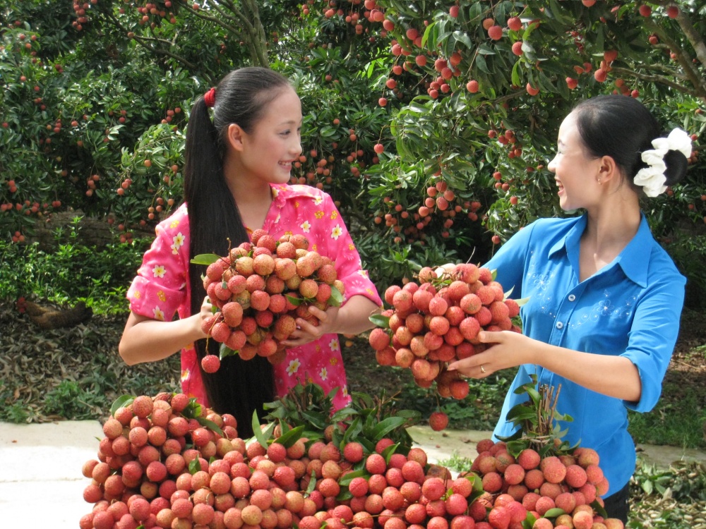 Tình hình kinh tế xã hội tỉnh Bắc Giang 6 tháng đầu năm 2020