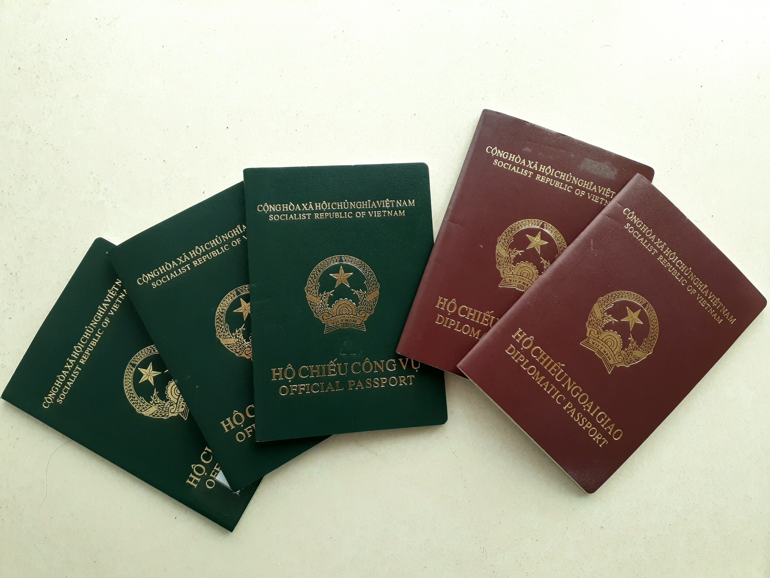 Bộ Ngoại giao ban hành Thông tư hướng dẫn việc cấp, gia hạn, hủy giá trị sử dụng hộ chiếu ngoại...