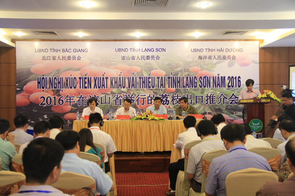 Bắc Giang: Phối hợp tổ chức các Hội nghị xúc tiến xuất khẩu vải thiều 2016