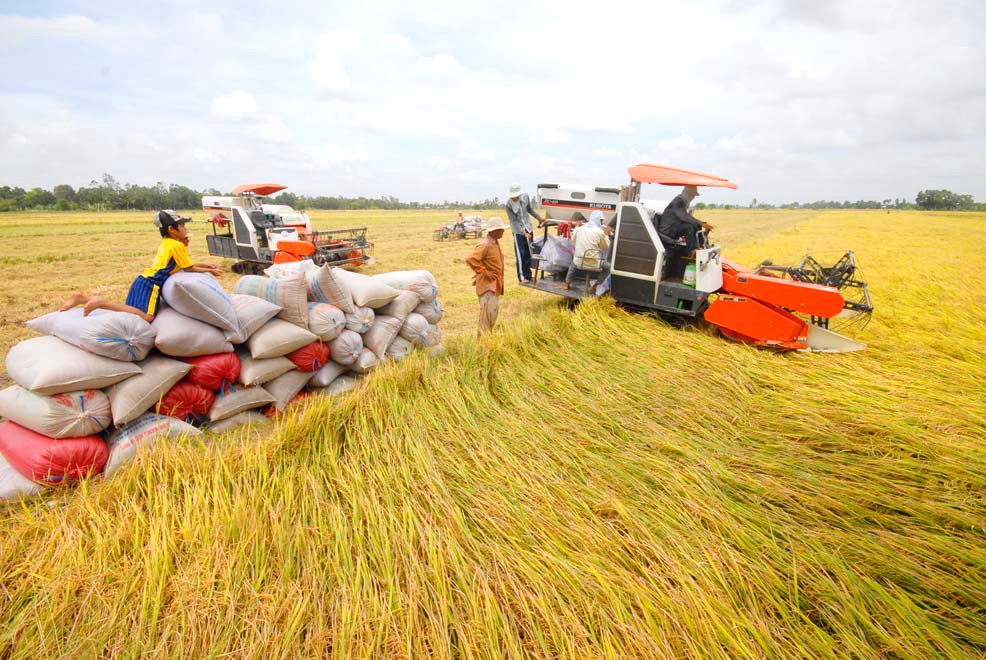 Chiến lược phát triển thị trường xuất khẩu gạo của Việt Nam giai đoạn 2017 – 2020, định hướng đến...