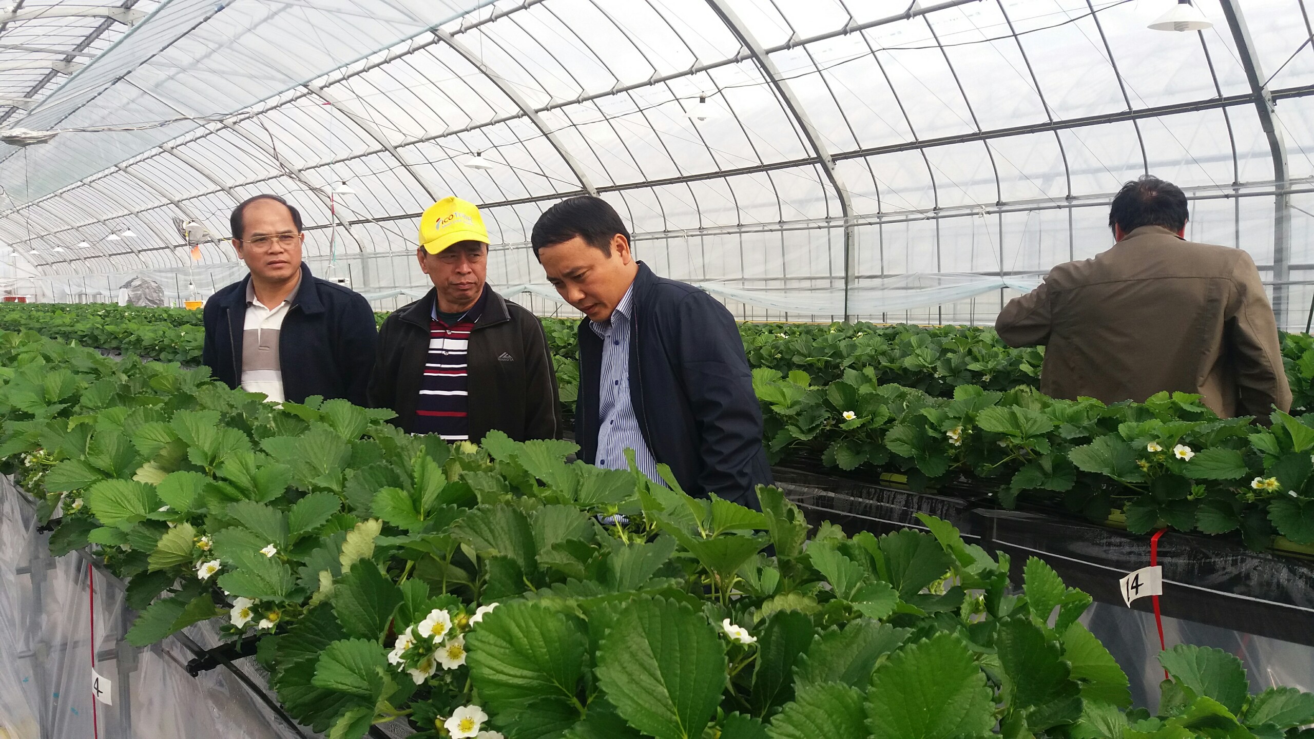 Đoàn cán bộ huyện Hiệp Hòa trao đổi kinh nghiệm sản xuất nông nghiệp công nghệ cao tại Nhật Bản