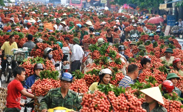 Rào cản xuất khẩu nông sản sang thị trường Trung Quốc