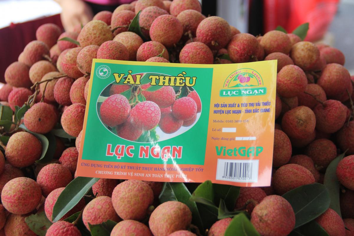 Vải thiều của tỉnh Bắc Giang trở thành một trong mười món ăn, đặc sản đạt Kỷ lục Đông Nam Á