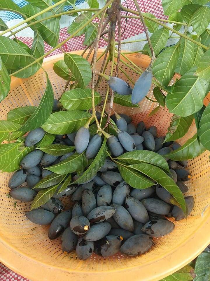 Nham- món ăn đặc sản của vùng quê Hiệp Hòa, Bắc Giang